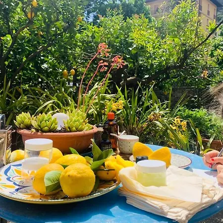 Mediterranean *